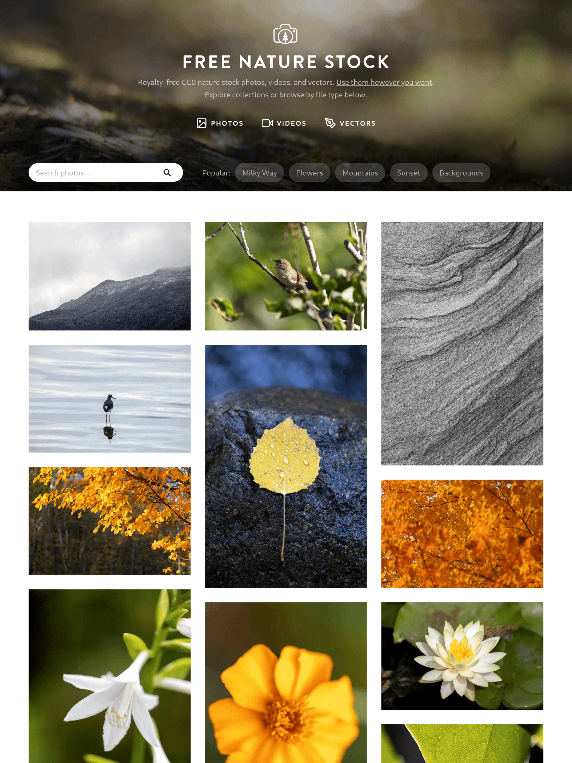 Free Nature Stock homepage