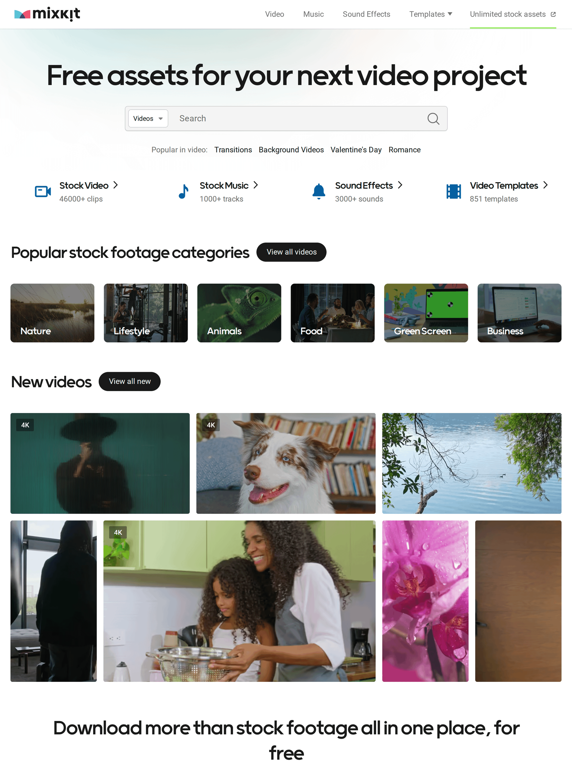 Mixkit free stock video homepage